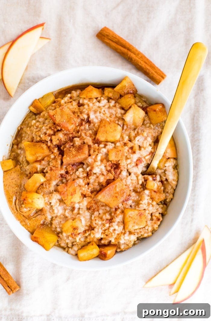 A white bowl holding vegetarian crockpot cinnamon apple oatmeal