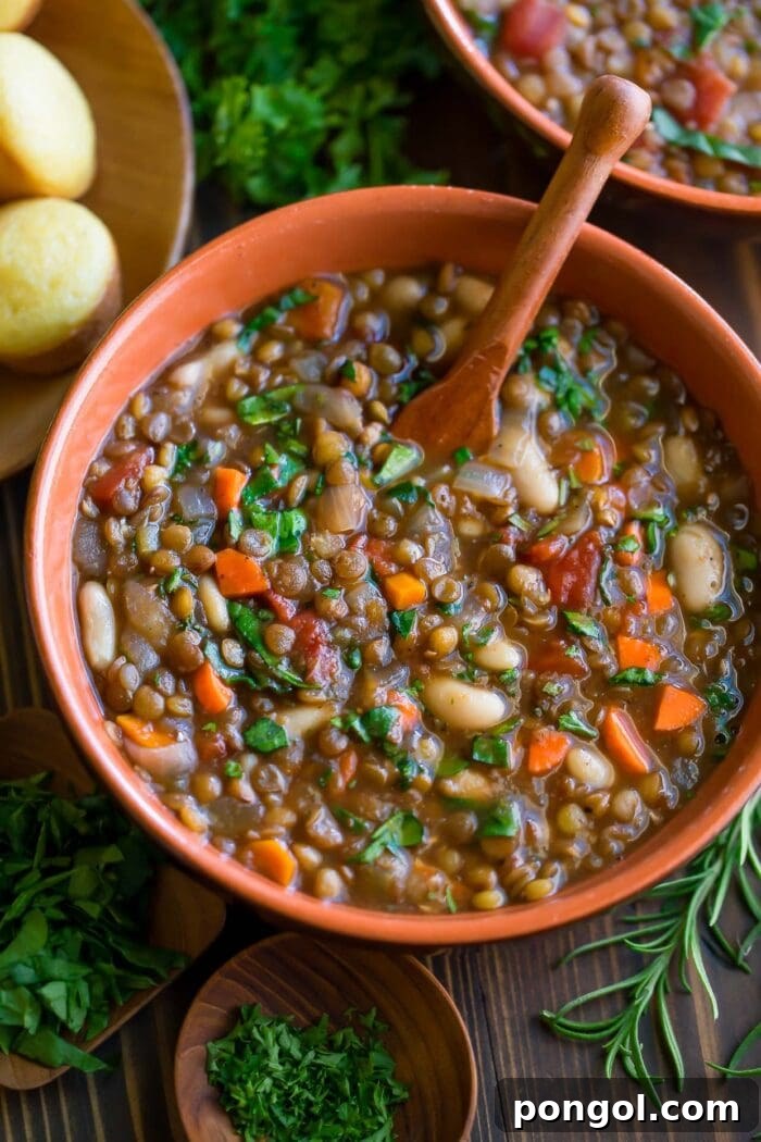 A red bowl of vegetarian slow cooker italian lentil soup