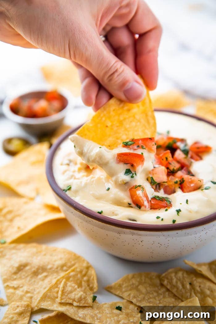 Vegetarian crockpot queso dip recipe