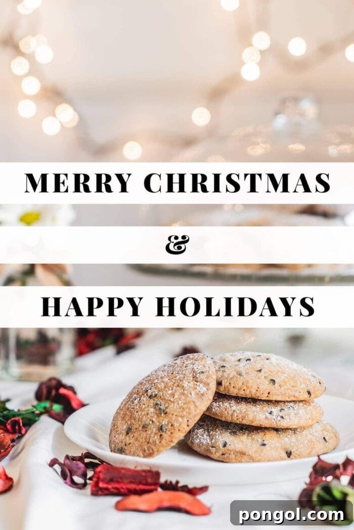 40 Aprons' Holiday Herald 2 Merry christmas and happy holidays text over a Christmas tablescape with cookies and lights