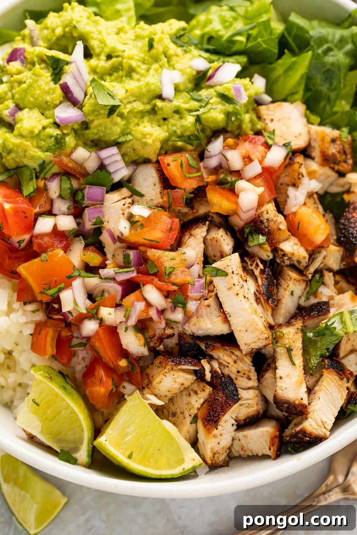 Overhead view of Whole30 chicken burrito bowls.
