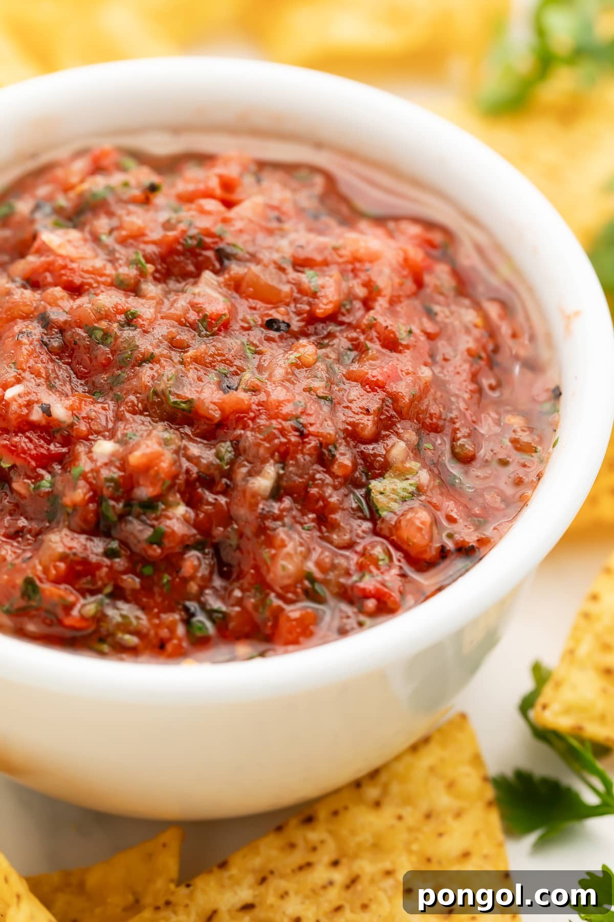 A white bowl holding deep red. smooth and slightly chunky salsa surrounded by tortilla chips.