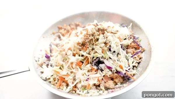 Slaw mix, ground pork, onions, garlic, and coconut aminos in a large skillet