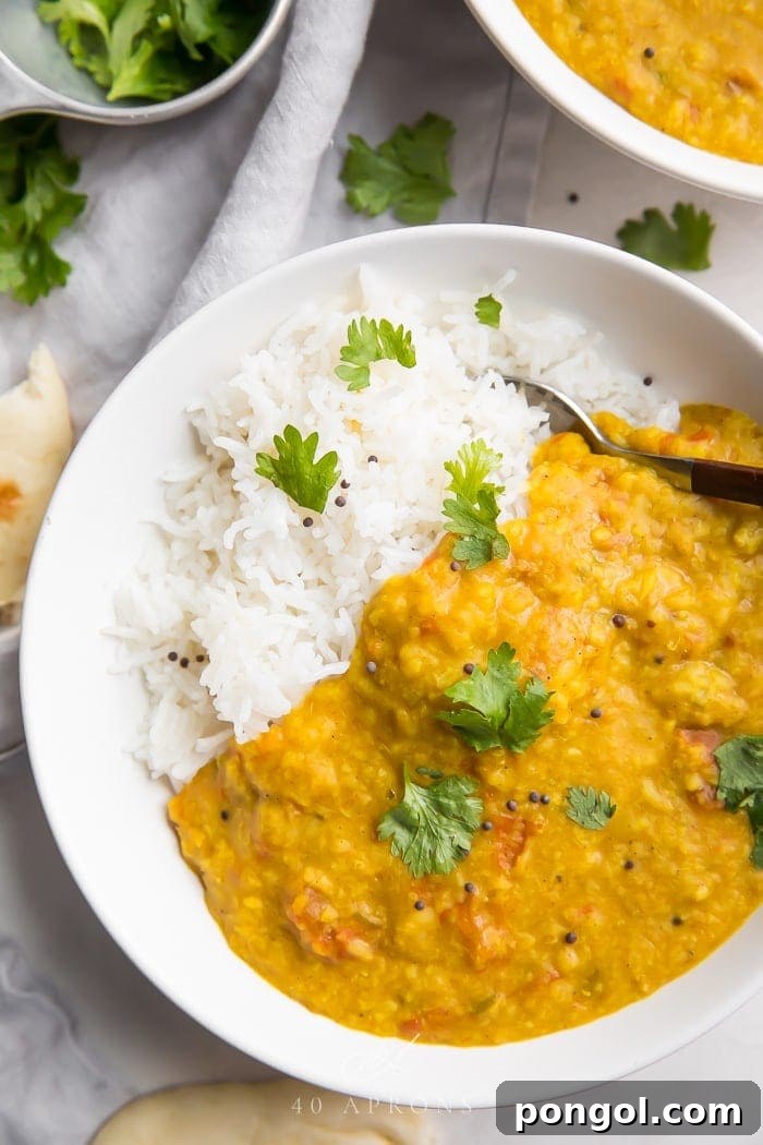 A close-up shot of fragrant dal served with fluffy rice, an inviting and traditional Indian vegan dish.