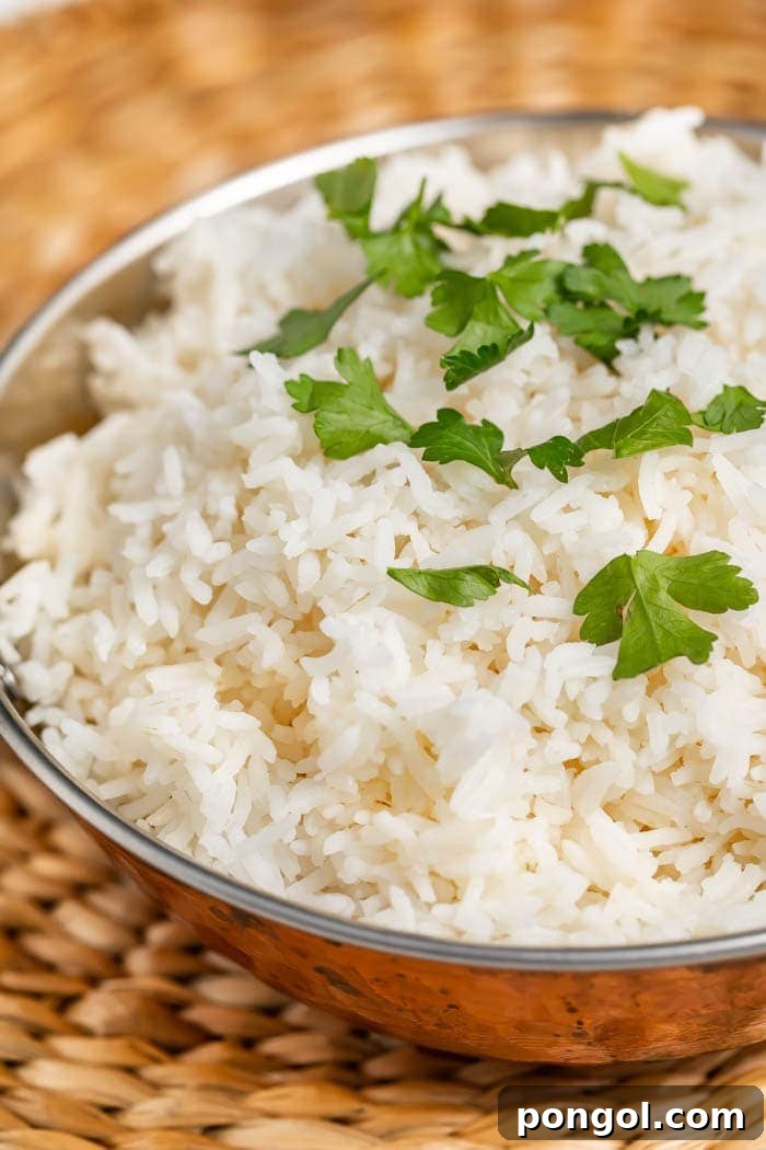 A gleaming silver mixing bowl filled with fluffy basmati rice, beautifully garnished and resting on a woven placemat.