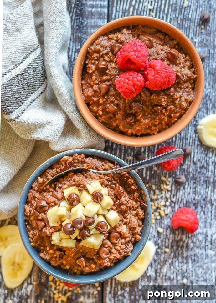 Two inviting bowls of rich chocolate steel-cut oats, one adorned with sliced bananas and the other with fresh raspberries, showcasing a delightful vegan breakfast.