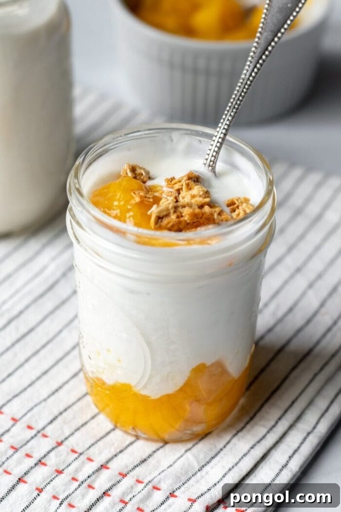 A glass mason jar overflowing with creamy cashew yogurt and layers of fresh fruit, a perfect picture of a healthy vegan snack or breakfast.