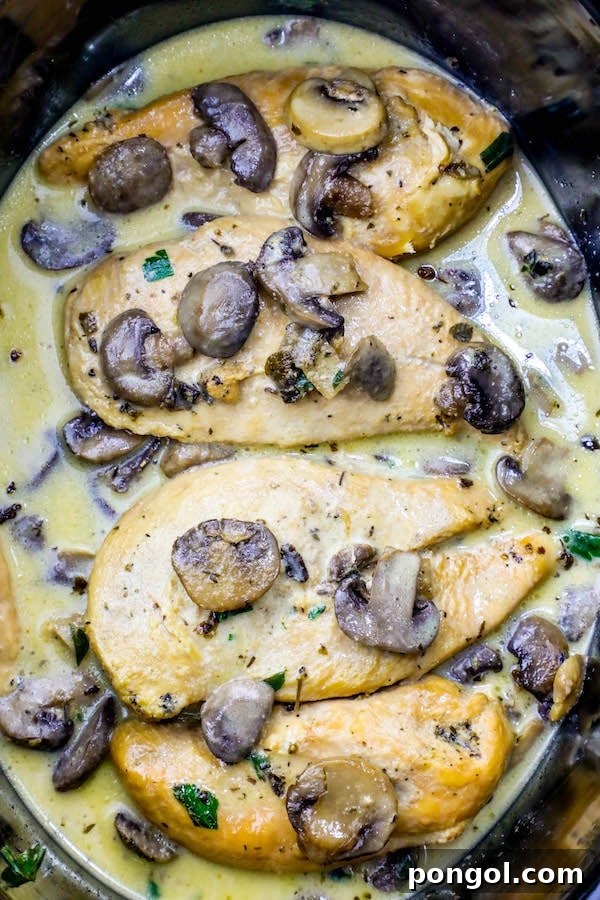 Keto chicken marsala