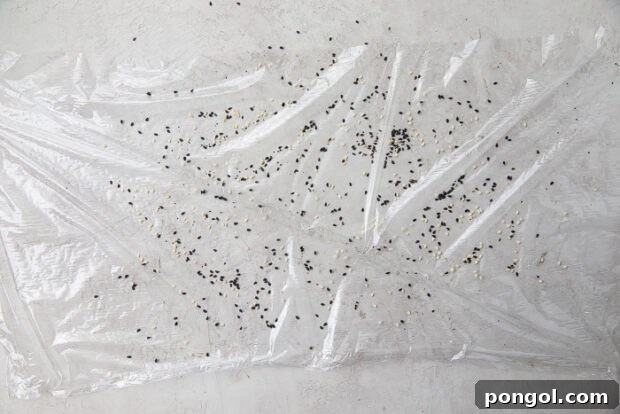 Plastic wrap meticulously covered in black and white sesame seeds, forming the preparatory base for the no-rice sushi roll