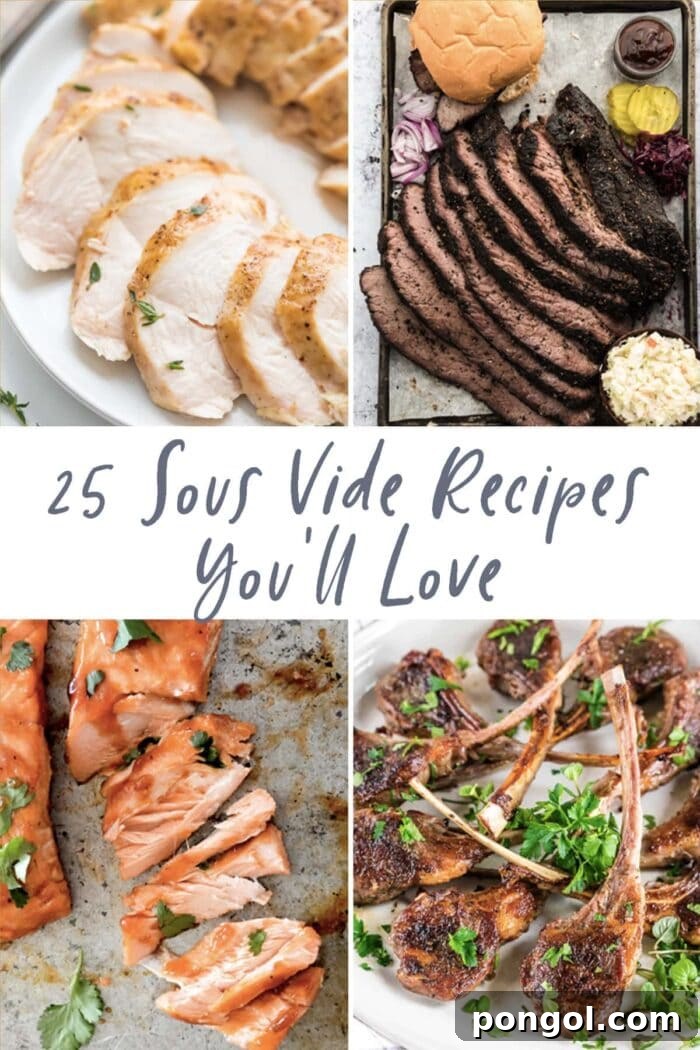 Graphic for 25 delicious sous vide recipes, showcasing a variety of perfectly cooked dishes