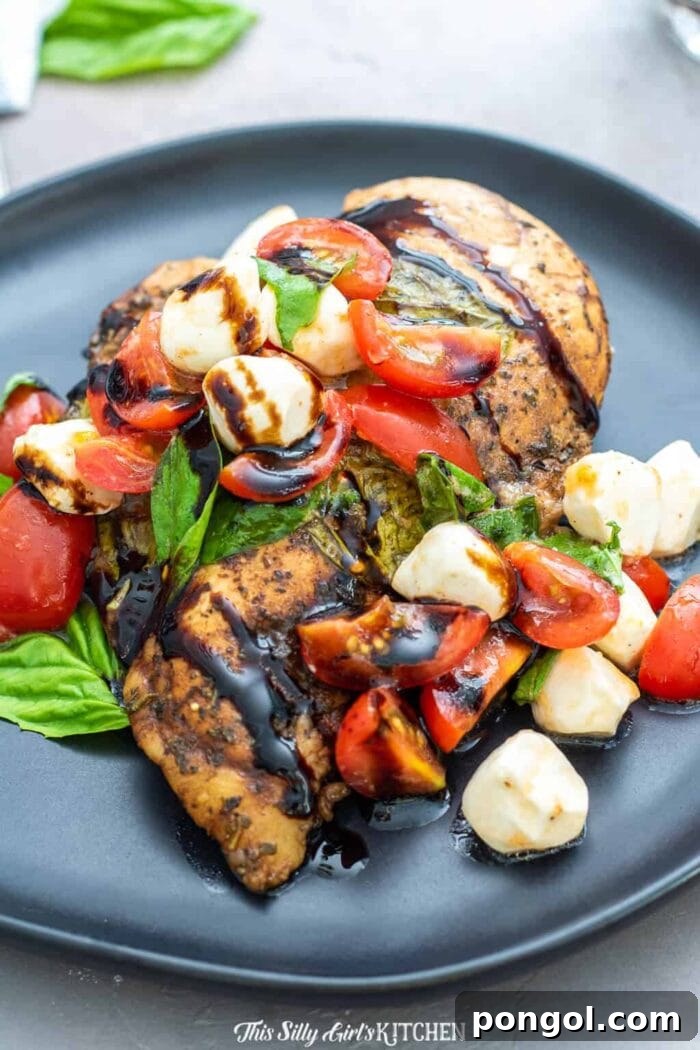 Sous vide chicken caprese artfully arranged on a vibrant blue plate, highlighting fresh ingredients