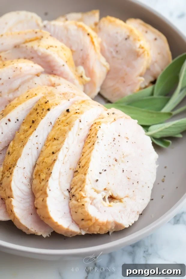Close-up photo of succulent turkey medallions, showcasing their tender texture and even cooking