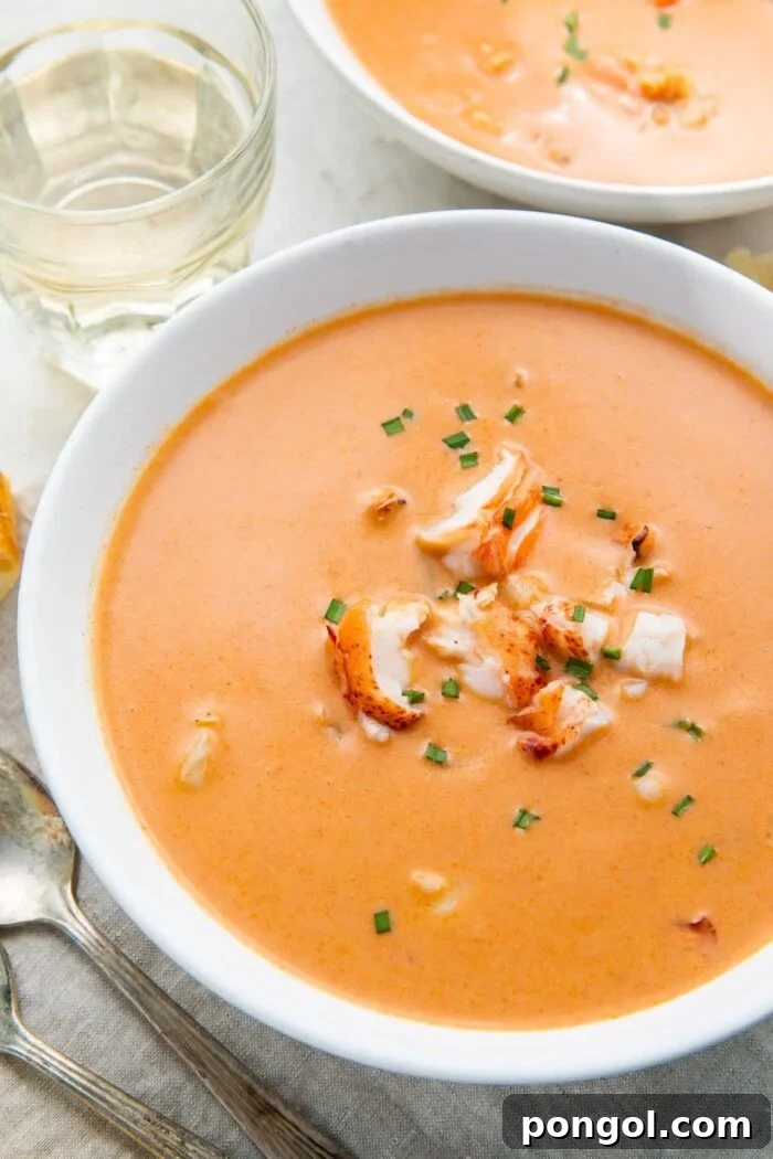 A large white bowl full of orange bisque with chunks of lobster, taken from an overhead angle