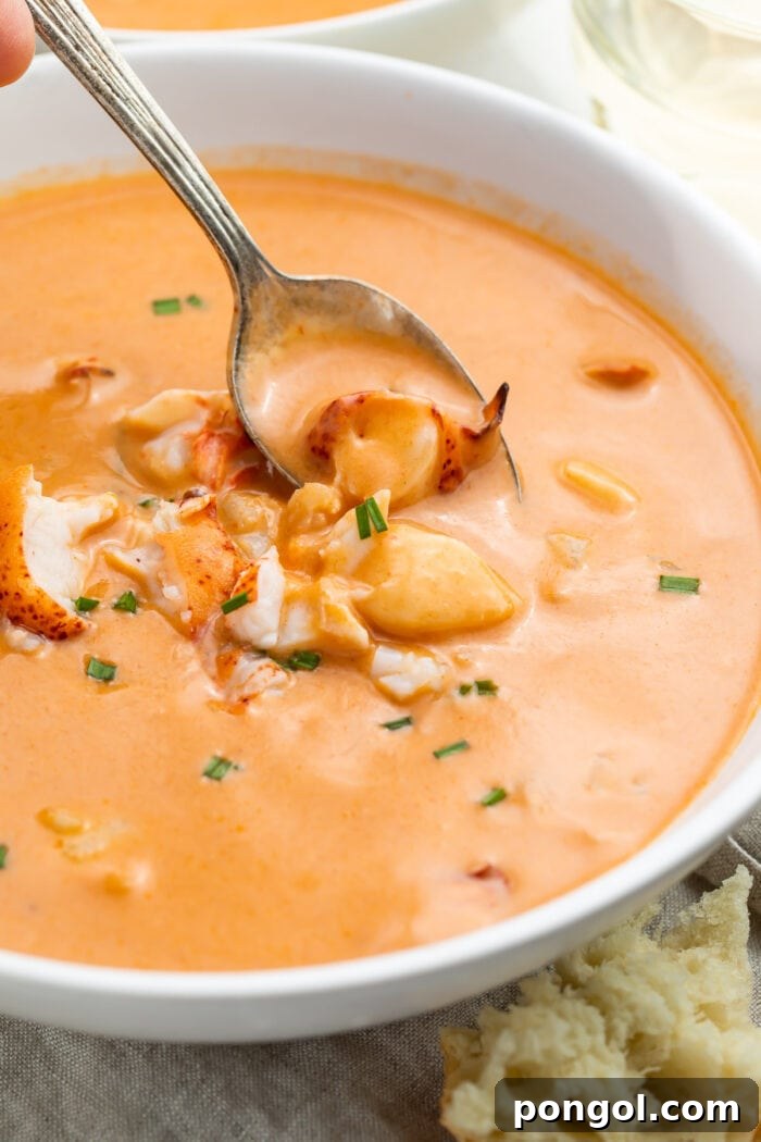 Close up of chunks of lobster tail in an orange lobster bisque in a white bowl