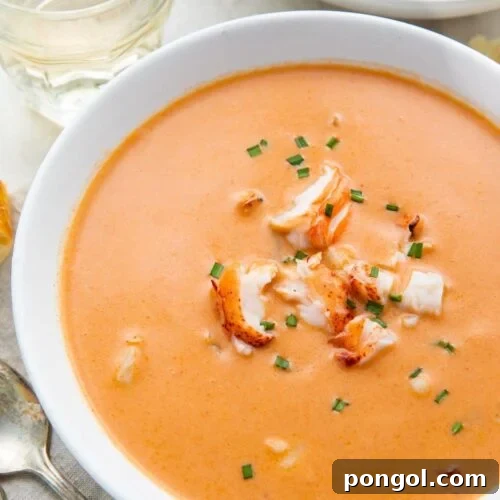 A large white bowl full of orange bisque with chunks of lobster, taken from an overhead angle