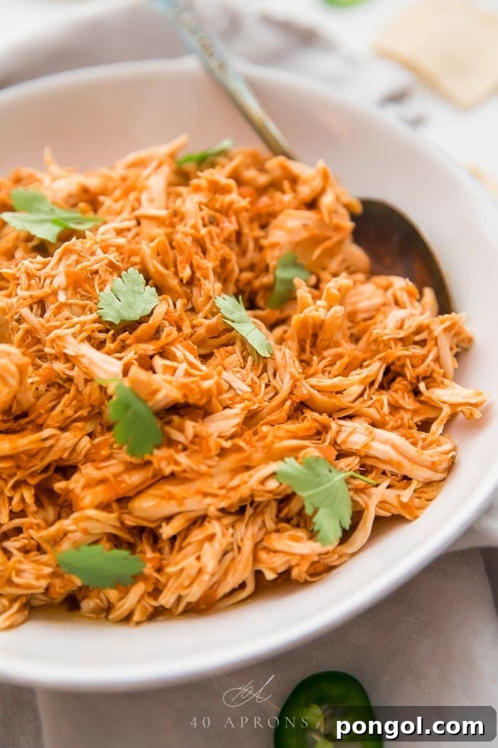 A white bowl of shredded Mexican chicken
