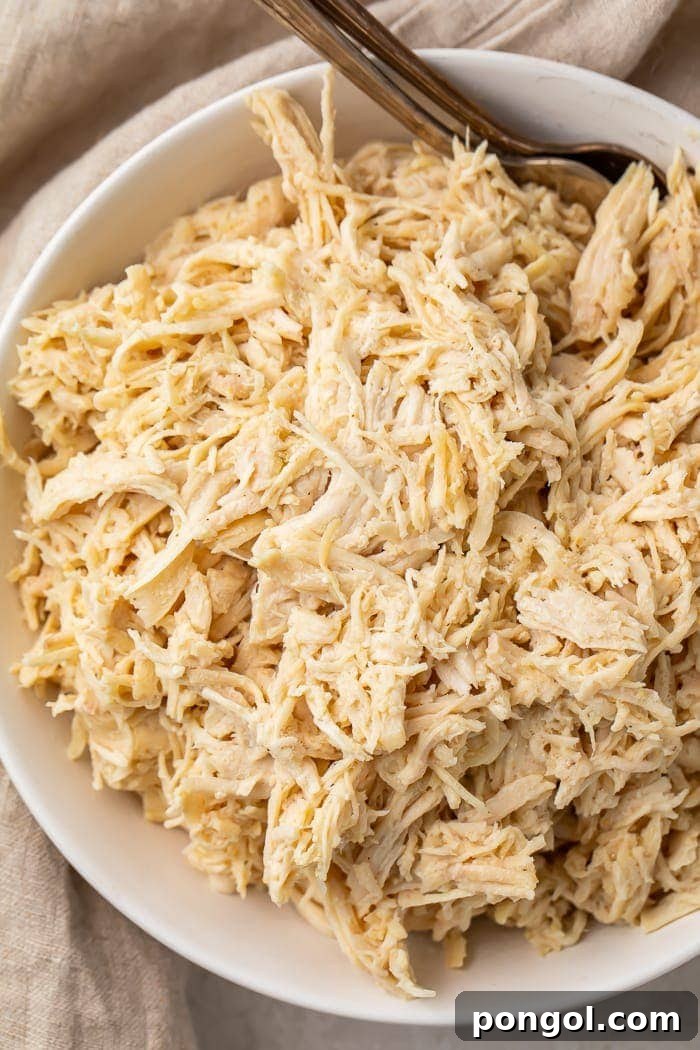 A white bowl of plain shredded chicken