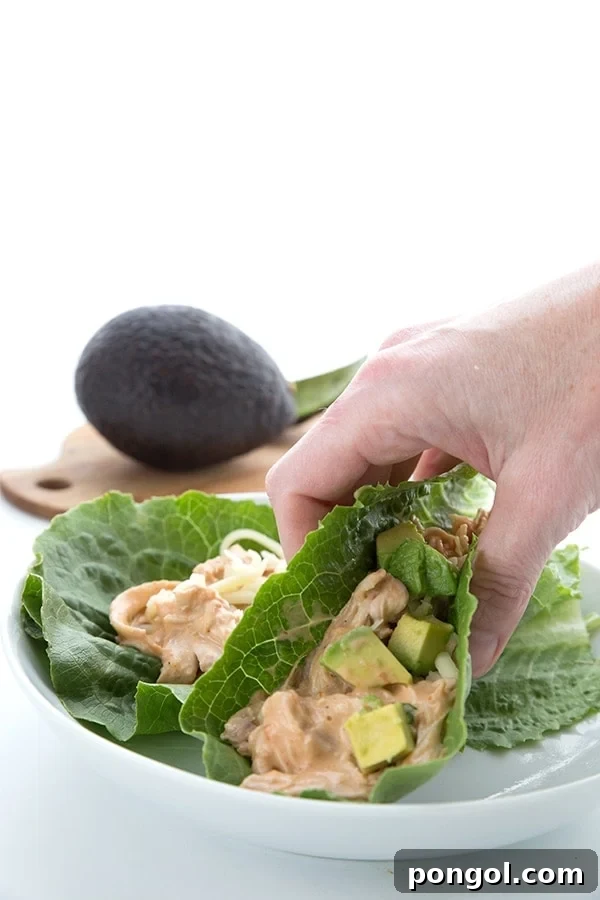 Salsa chicken lettuce tacos