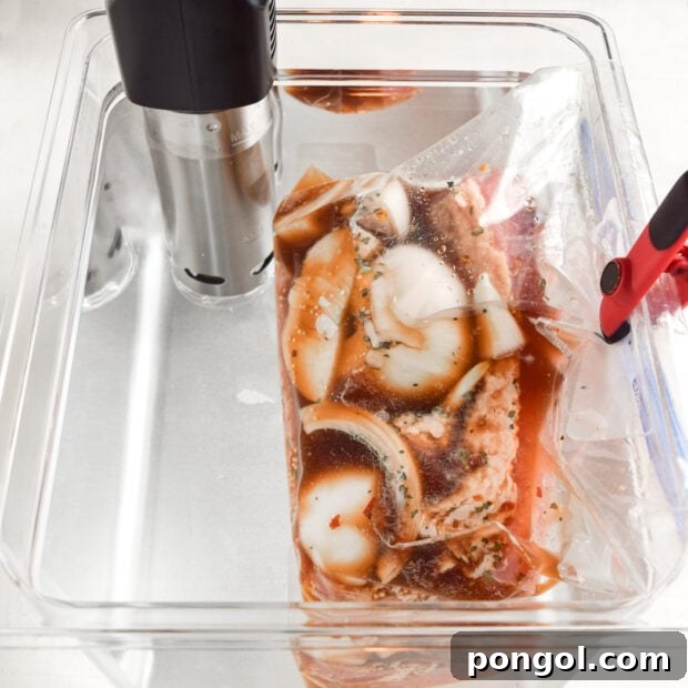 Perfectly Tender Sous Vide Corned Beef 6 Sous Vide Corned Beef Step 1: Sealing Ingredients in a Bag