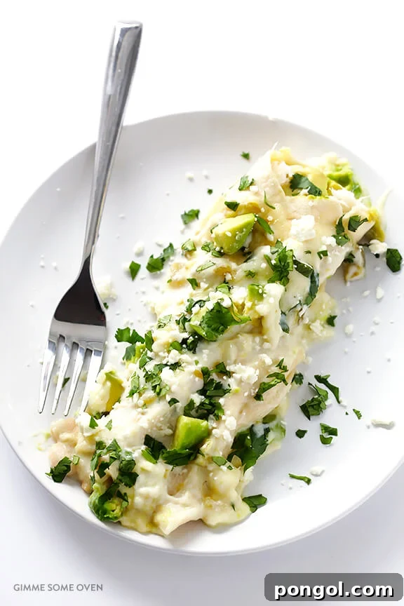 An enchilada garnished with sliced avocado and fresh cilantro on a white plate, showcasing a vibrant and appealing meal.