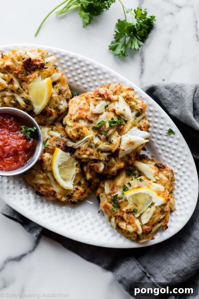 Golden-brown Maryland crab cakes perfectly arranged on a pristine white platter, garnished with fresh parsley.