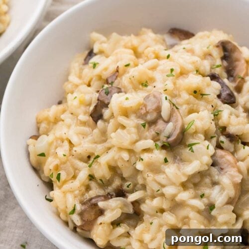 Partial view of a shallow white bowl of mushroom risotto, garnished with fresh parsley.