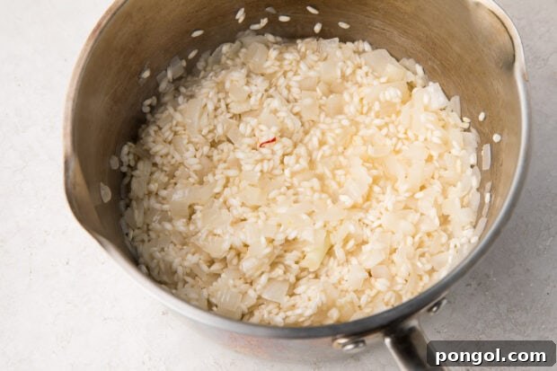 Creamy Wild Mushroom Risotto 9 Raw Arborio rice grains being stirred into the aromatic onion and garlic base in a silver saucepan, preparing for the first addition of liquid.