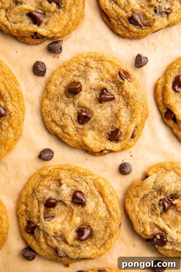 Ultimate Vegan Chocolate Chip Cookies 3 Seven golden-brown vegan chocolate chip cookies, fresh from the oven, cooling on parchment paper on a baking sheet, showcasing their perfect shape and melted chocolate.