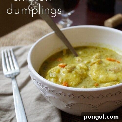 Close-up of a serving of Chicken and Dumplings
