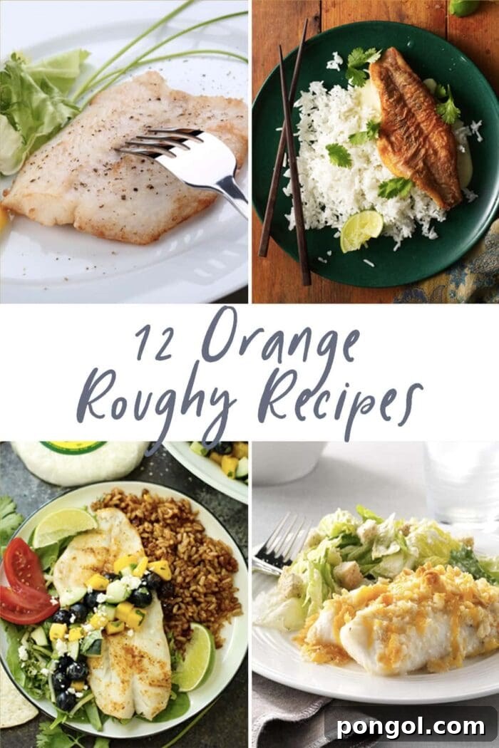 Graphic for 12 orange roughy recipes, showcasing various preparations and culinary possibilities
