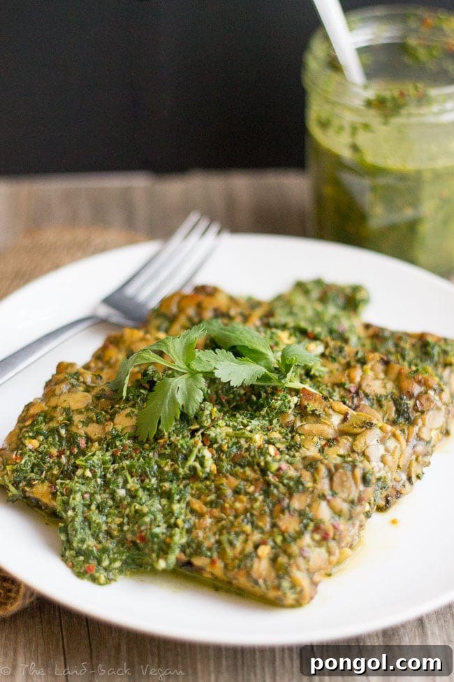 Flavorful Chimichurri Tempeh (Vegan, Gluten-Free) Recipe - Main Dish