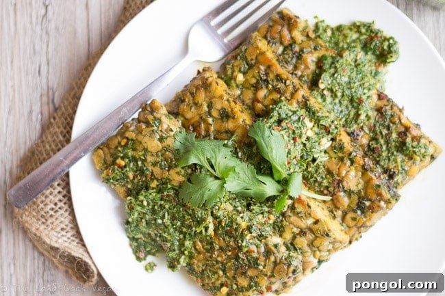 Chimichurri Tempeh served with a side of fresh chimichurri sauce