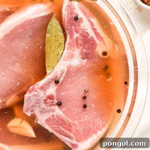 A perfectly brined pork chop ready for cooking.