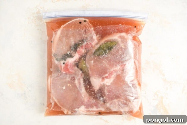 Pork chops in a resealable plastic bag filled with brine.