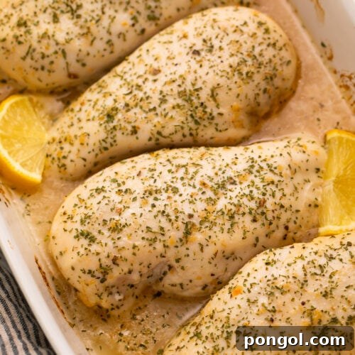 4 large chicken breasts baked with Italian dressing and garnished with lemon wedges in a large baking dish.