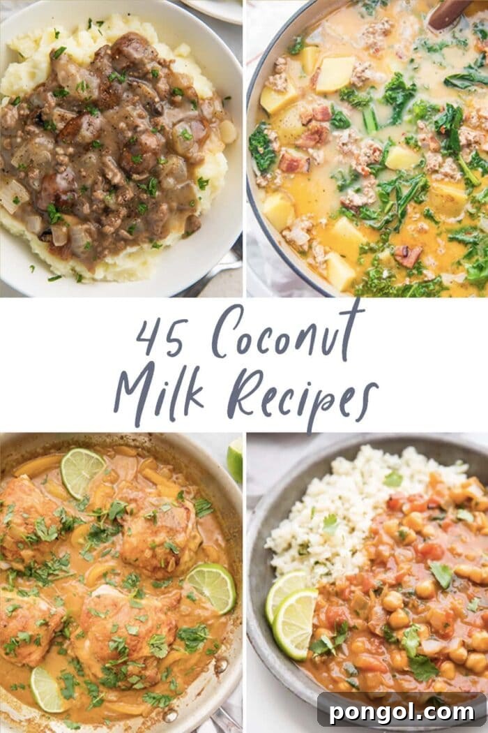 45 Delicious Coconut Milk Recipes 2 Graphic for 45 coconut milk recipes