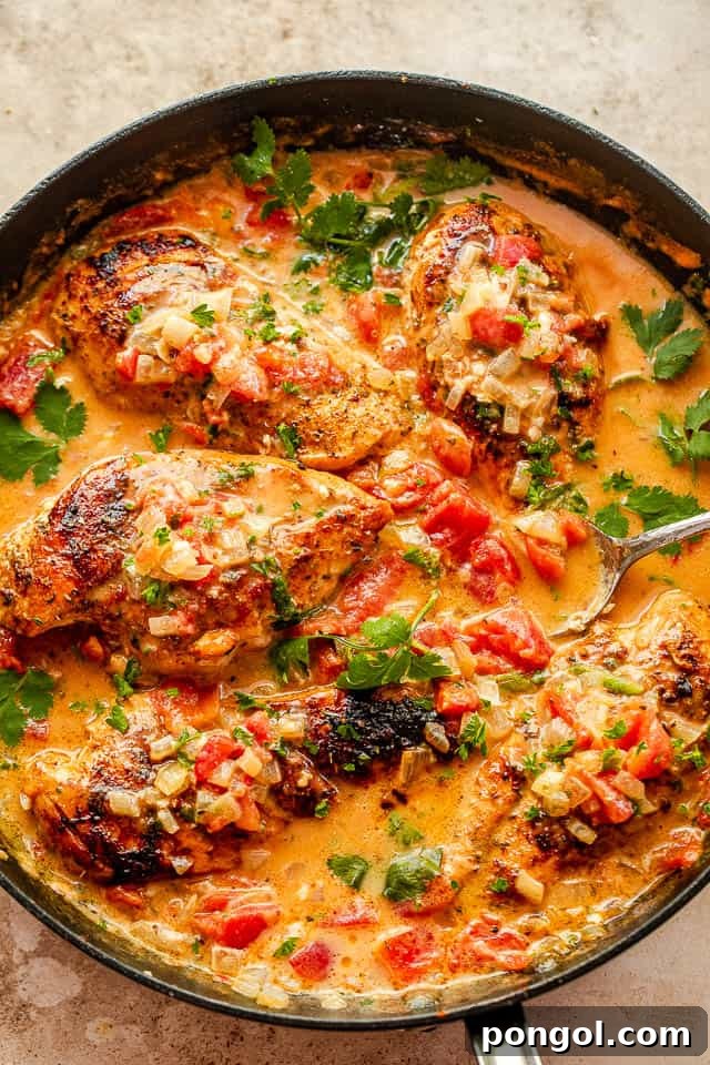 45 Delicious Coconut Milk Recipes 25 Creamy chicken in a skillet