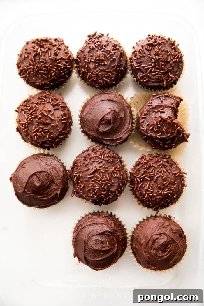 45 Delicious Coconut Milk Recipes 34 Paleo chocolate cupcakes