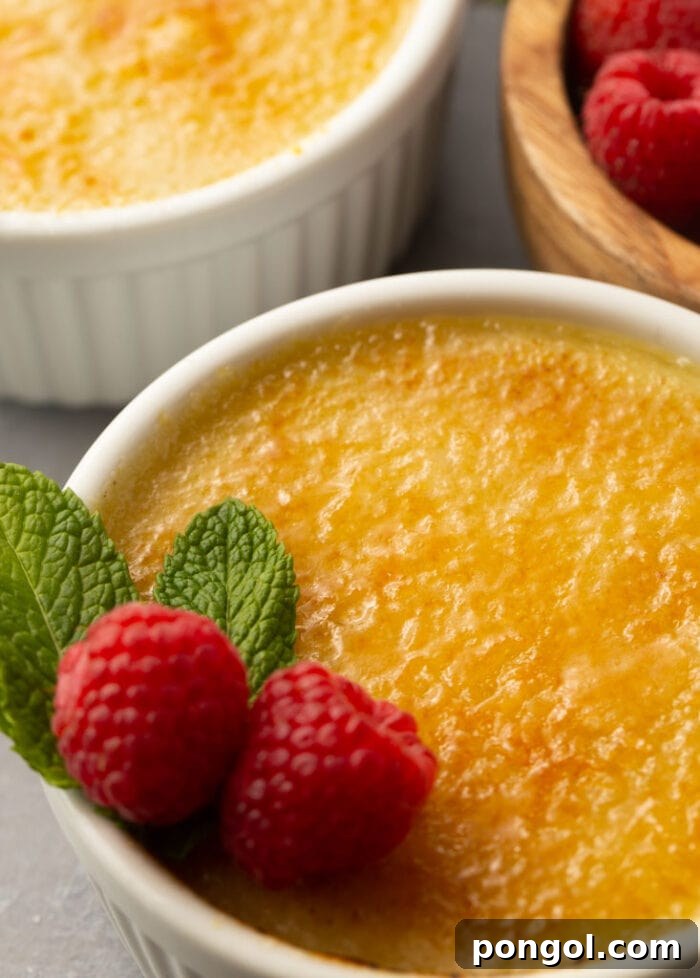 45 Delicious Coconut Milk Recipes 39 Close up photo of vegan creme brulee