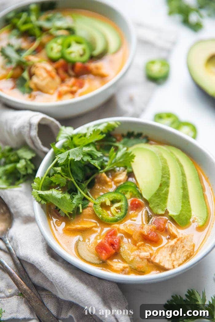 45 Delicious Coconut Milk Recipes 6 Chicken tortilla-less soup