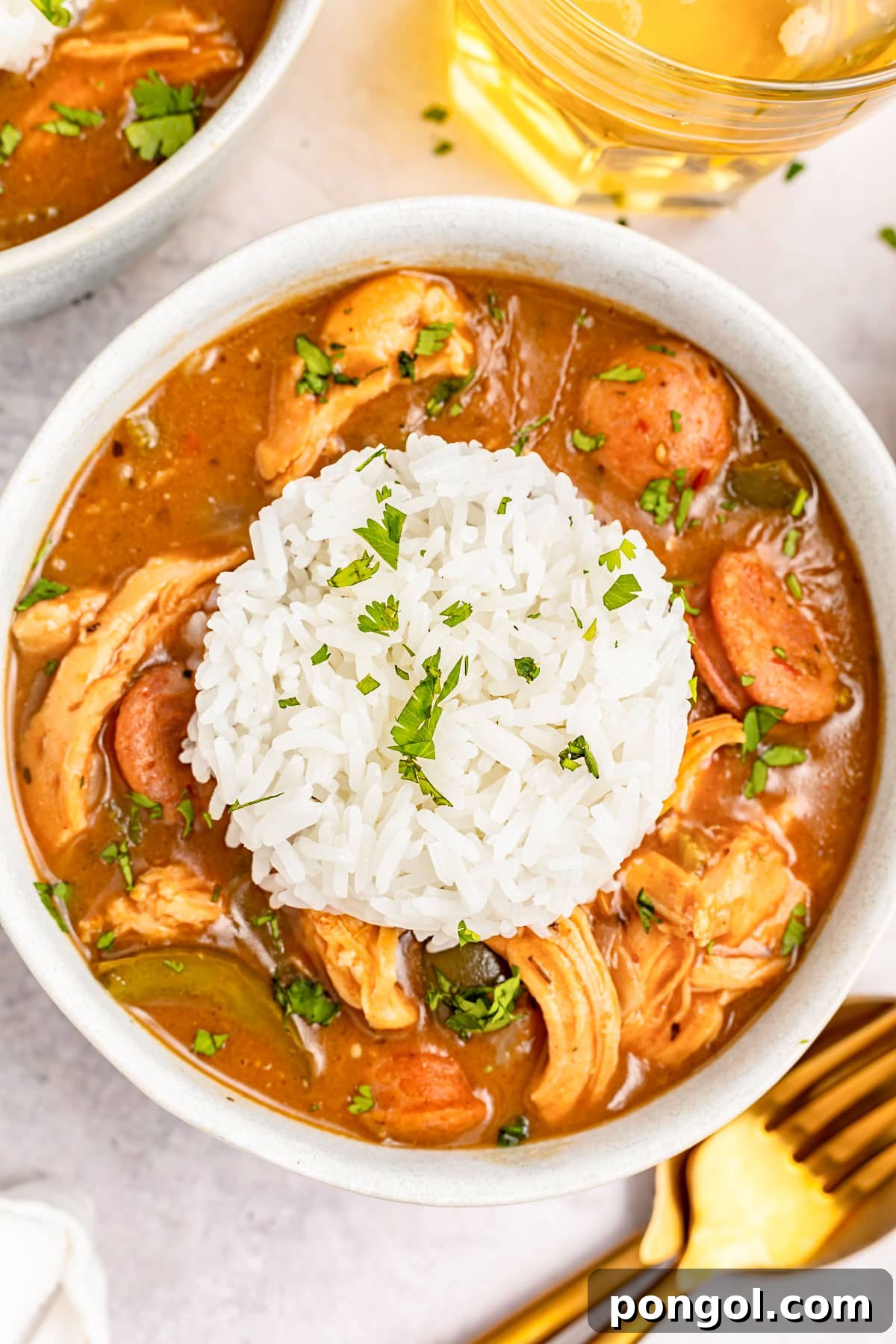 Overhead image of a white bowl holding deep reddish brown chicken an sausage gumbo with a mound of white rice in the center.