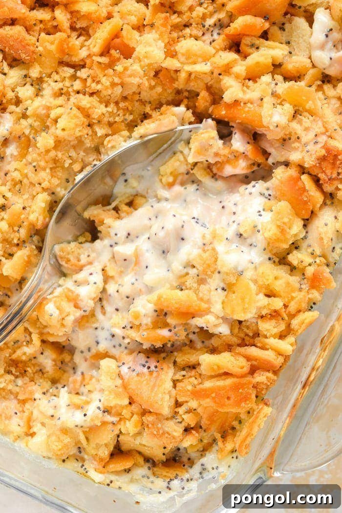 Poppy Seed Chicken Overhead Shot