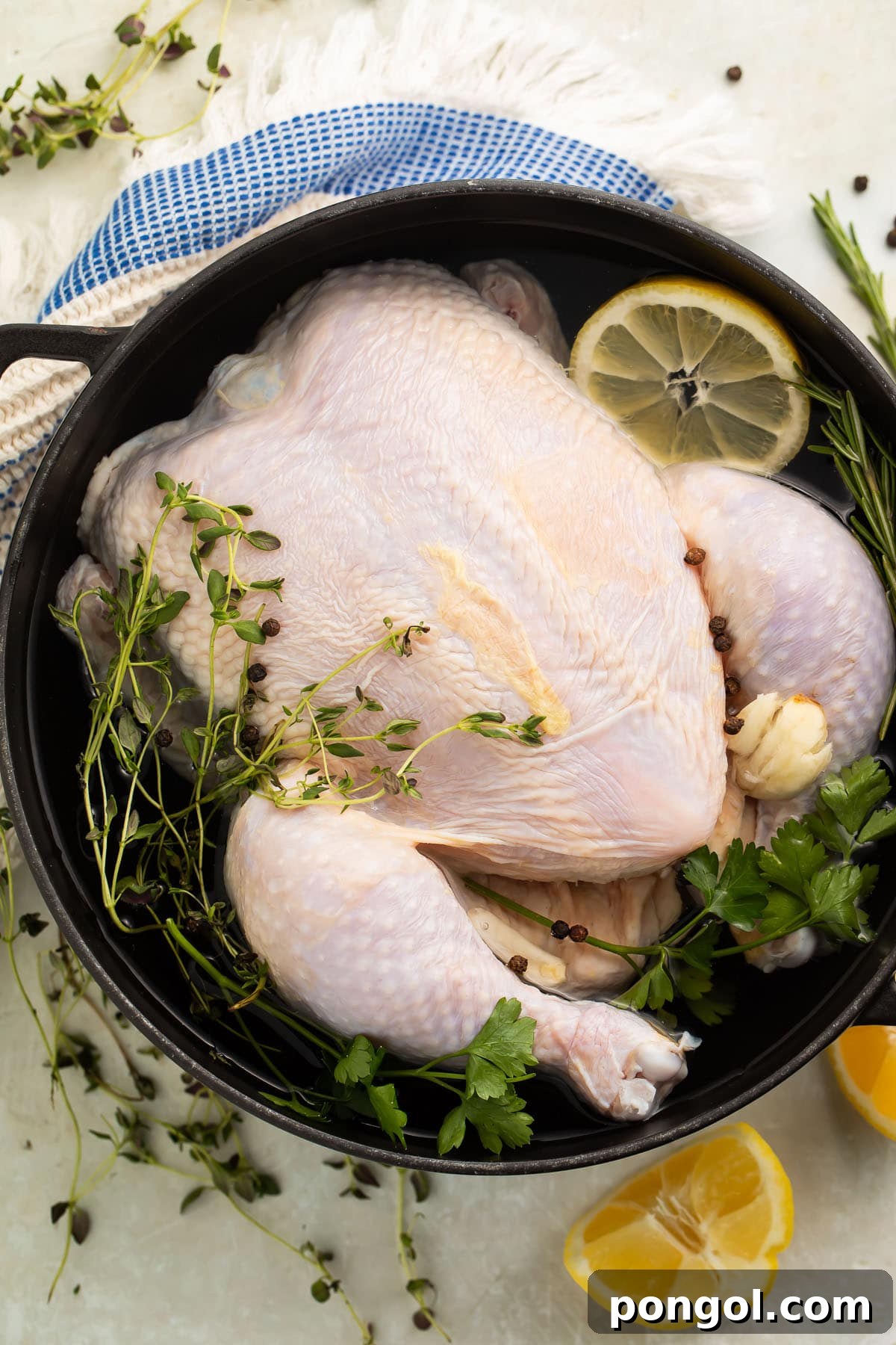A whole, uncooked chicken in a large pot, perfectly positioned in a quick chicken brine infused with slices of fresh lemon and an assortment of aromatic herbs, ready for a flavor-packed transformation.