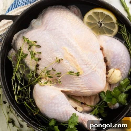 A whole, uncooked chicken in a large pot filled with a quick chicken brine of water, lemon, and herbs.