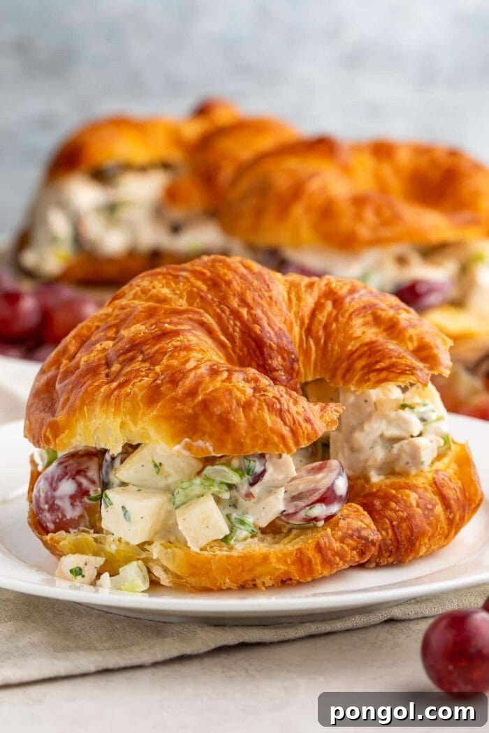 Chicken salad with grapes on a buttered croissant