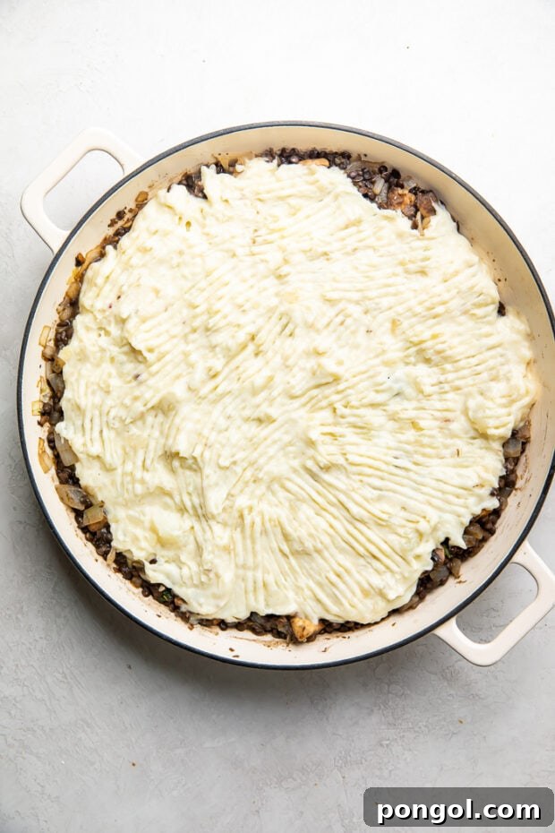 Baked vegetarian shepherd's pie, golden and bubbly, fresh out of the oven