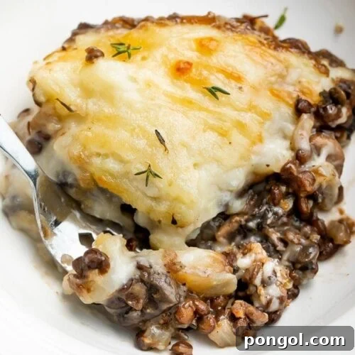 Best Ever Vegetarian Shepherd's Pie with golden mashed potato topping