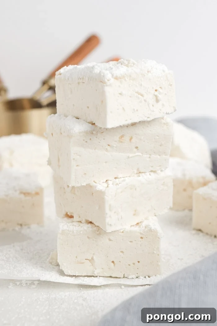 Cloud-Like Vegan Marshmallows 2 Vegan Marshmallows