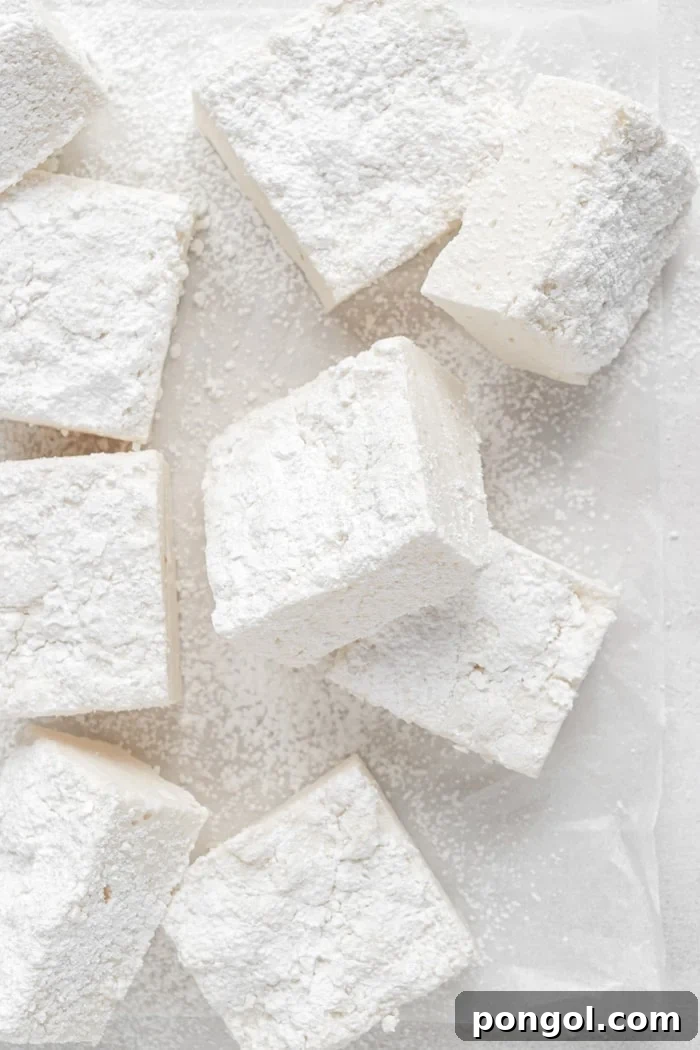 Cloud-Like Vegan Marshmallows 3 Vegan Marshmallows