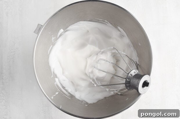 Cloud-Like Vegan Marshmallows 7 img 48659 7